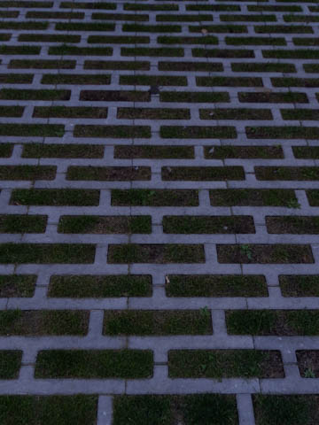Pattern