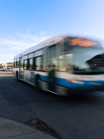 Bus